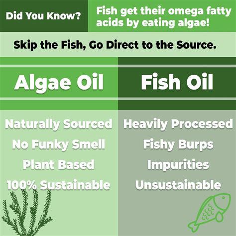 algae omega 3 vs fish|best algae based dha supplement.